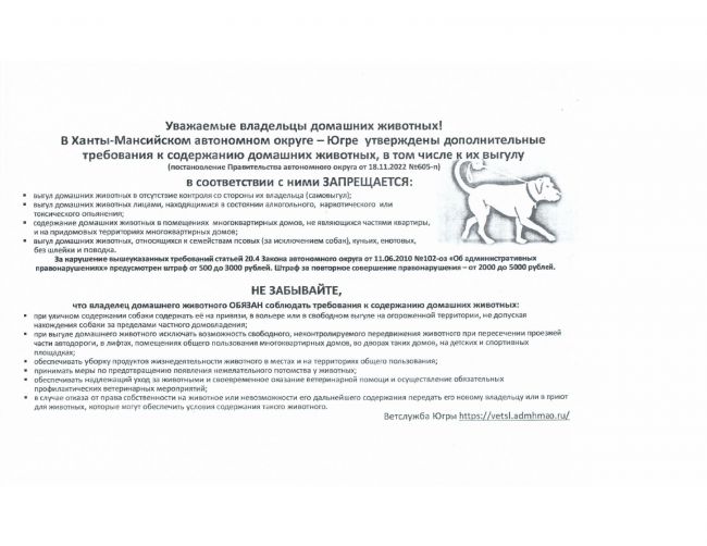 Утверждены дополнительные требования к содержанию домашних животных, в том числе к их выгулу